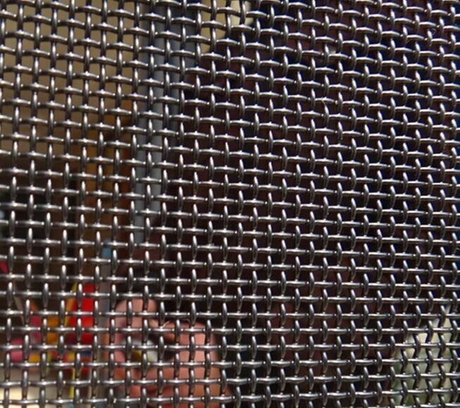 Griglia di insetti in acciaio inossidabile a tessuto semplice 0,18 mm - 0,24 mm Facile installazione Leggera